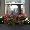 Fall Window Box